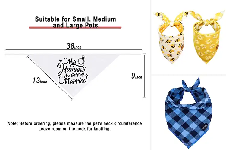 Detailed view of Best Dog Bandanas: 10 Stylish Picks for Your Furry Friend
