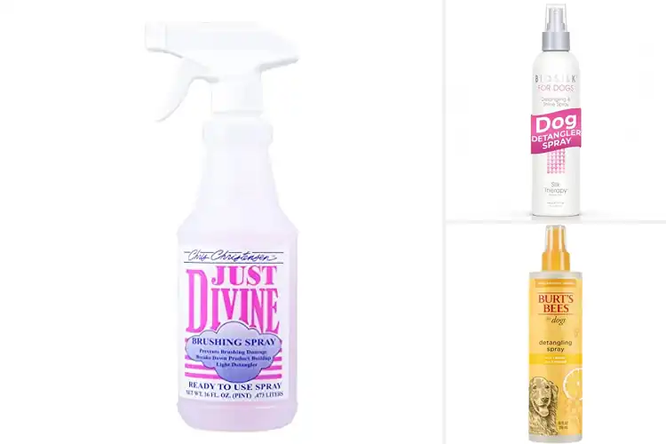 Detailed view of Best Dog Brushing Sprays