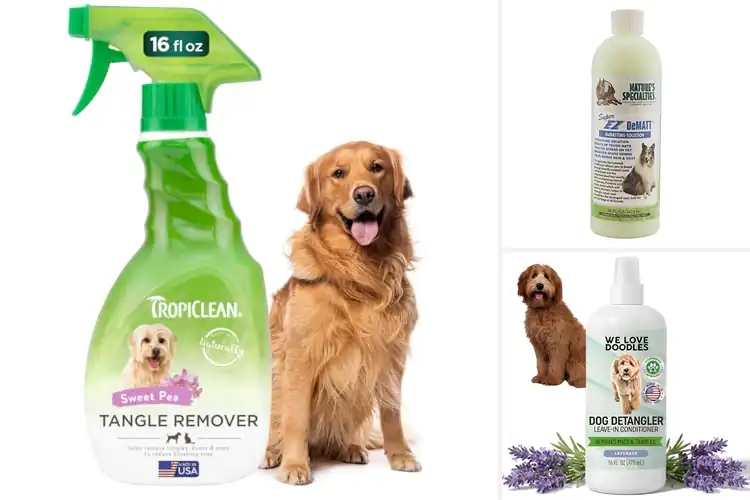 Detailed view of Best Dog Dematting Solutions
