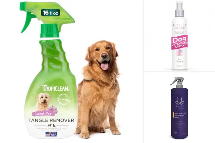 Detailed view of Best Dog Dematting Sprays