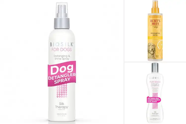 Detailed view of Best Dog Detangling Solutions