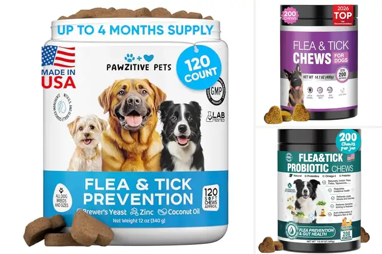 Detailed view of Best Dog Flea and Tick Chewables: Safe, Natural & Effective