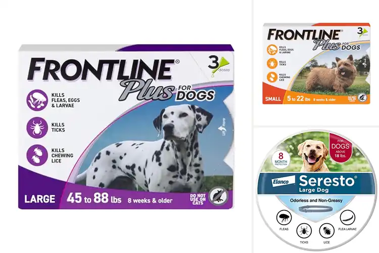 Detailed view of Best Dog Flea and Tick Solutions