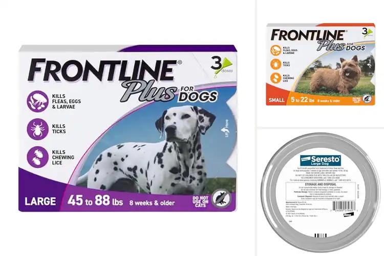 Detailed view of Best Dog Flea Medications