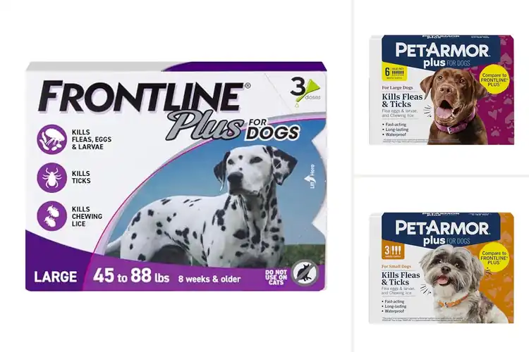 Detailed view of Best Dog Flea Prevention