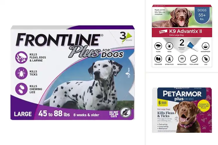 Detailed view of Best Dog Flea Treatments: Quick, Safe & Long-Lasting Relief