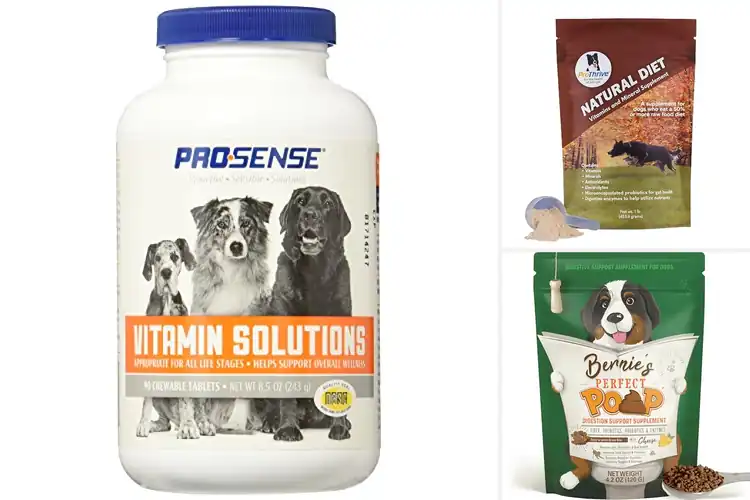 Detailed view of Best Dog Health Solutions