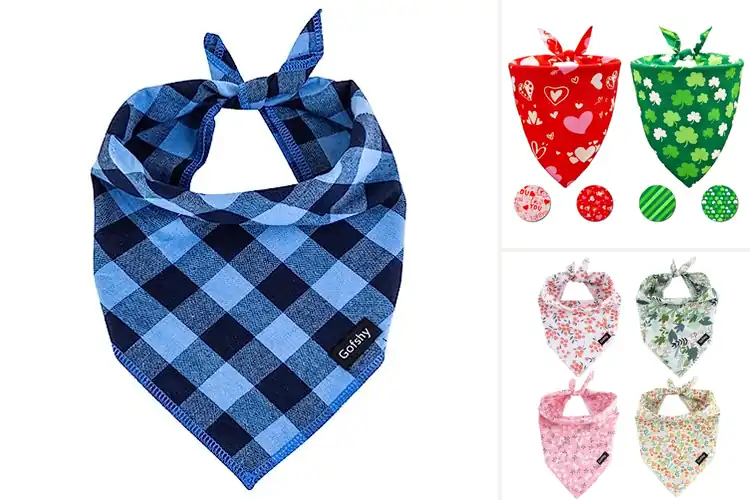 Detailed view of Best Dog Kerchiefs