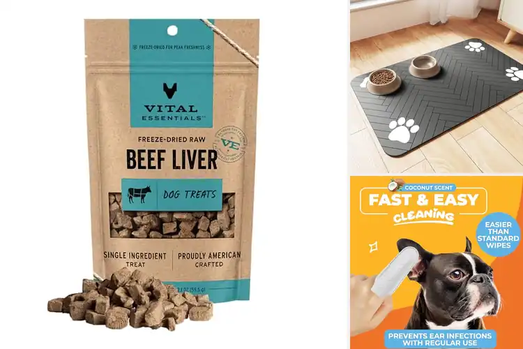 Detailed view of Best Dog Products: Top 10 Essentials for Happy Pups