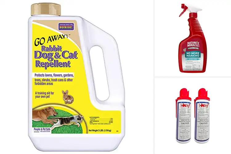 Detailed view of Best Dog Repellents
