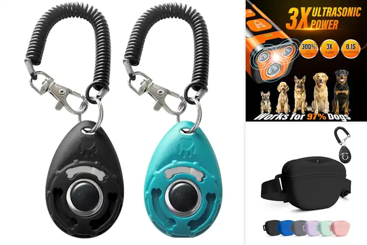 Detailed view of Best Dog Training Tools