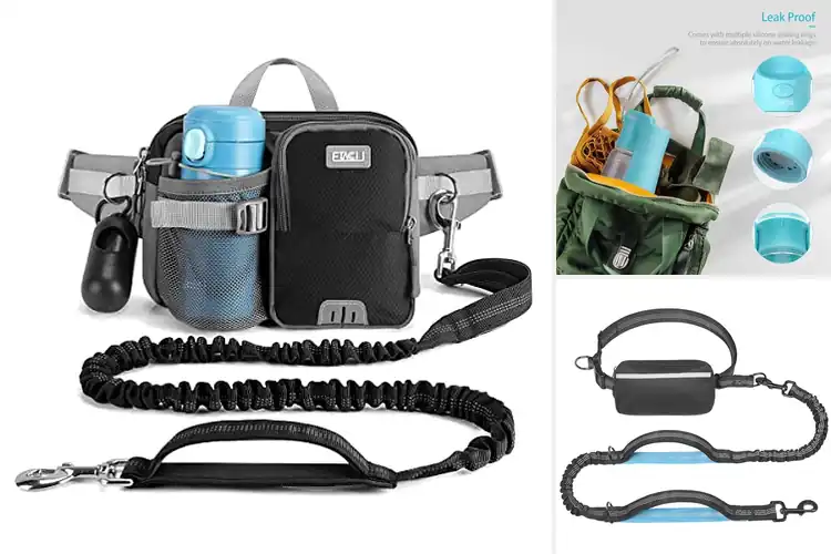 Detailed view of Best Dog Walking Accessories