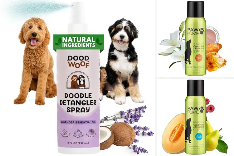 Detailed view of Best Dood Woof Grooming Sprays