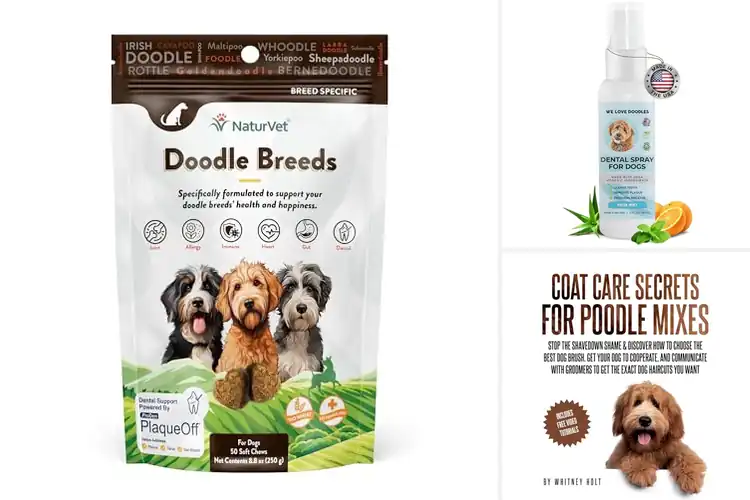 Detailed view of Best Doodle Care Products for a Happy, Healthy Pup Daily
