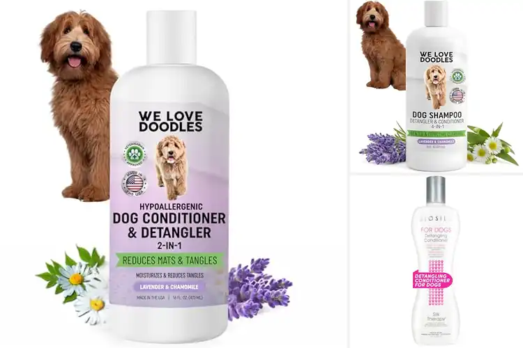 Detailed view of Best Doodle Conditioners: Top Picks for a Soft, Shiny Coat