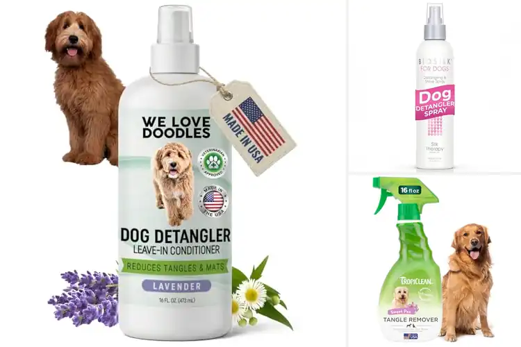 Detailed view of Best Doodle Grooming Spray
