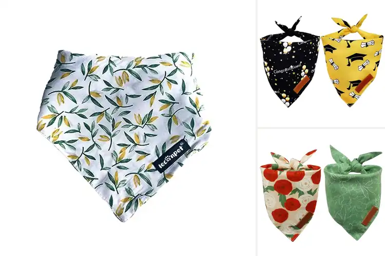 Detailed view of Best Double Layer Pet Bandanas For Longevity