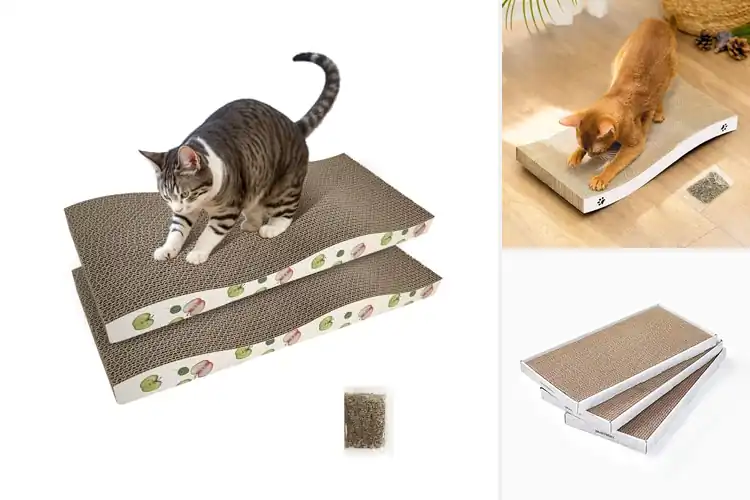 Detailed view of Best Double-Sided Cat Scratching Pads