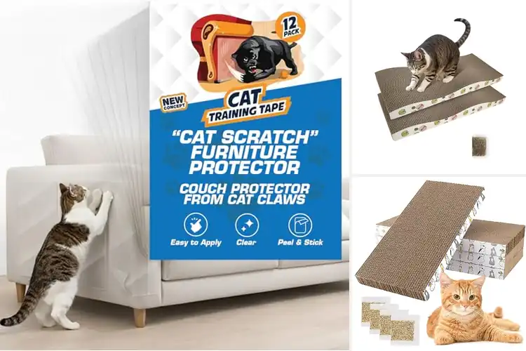 Detailed view of Best Double Sided Scratch Pads: Top 10 Picks for Happy Cats