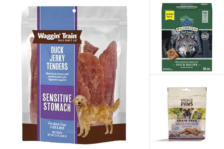 Detailed view of Best Duck Dog Treats: Boost Your Dog’s Health & Happiness