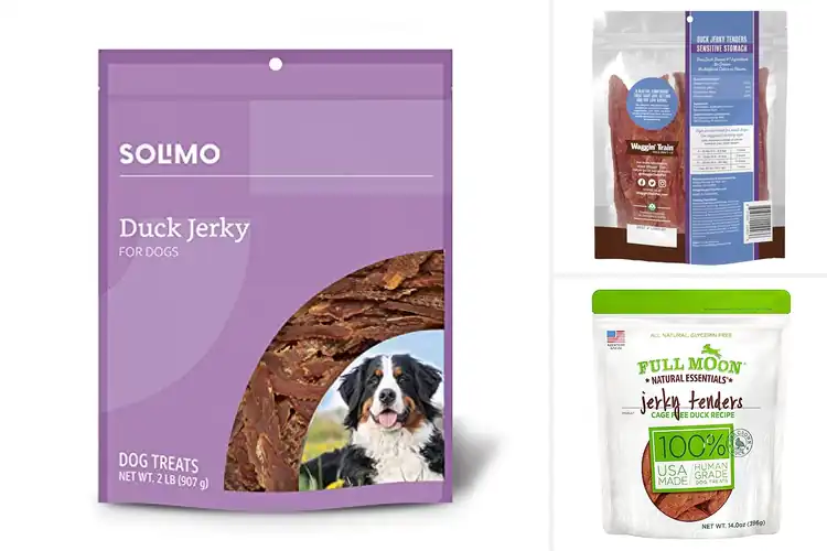 Detailed view of Best Duck Treats: Top 10 Healthy & Tasty Picks for Dogs