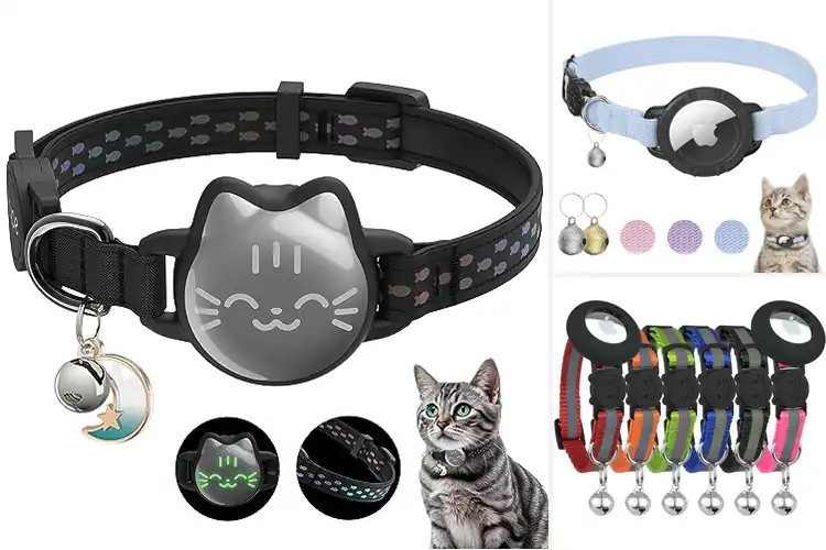 Detailed view of Best Durable Cat Collar Trackers