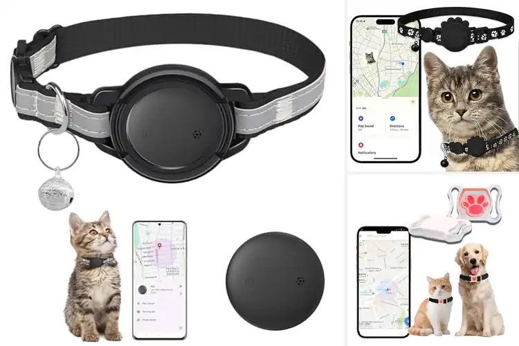 Detailed view of Best Durable Cat GPS Collars