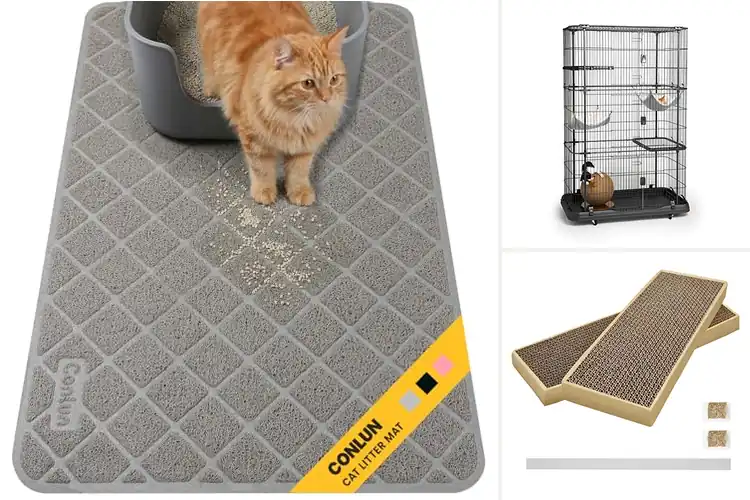 Detailed view of Best Durable Cat Products