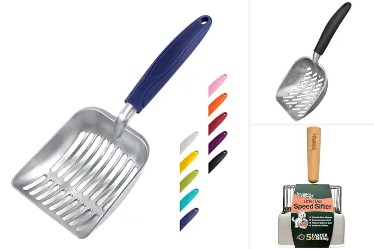 Detailed view of Best Durable Cat Scoops