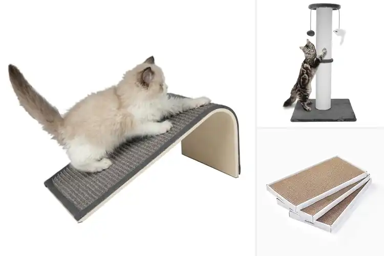 Detailed view of Best Durable Cat Scratcher: Protect Furniture, Happy Cats
