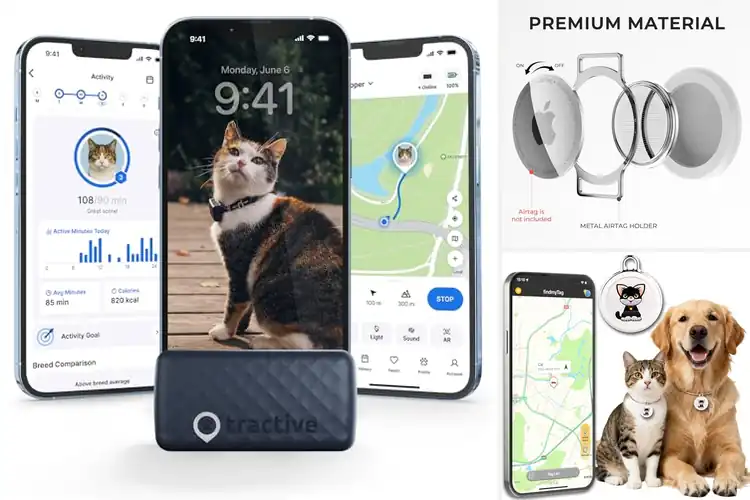 Detailed view of Best Durable Cat Trackers: Top Picks for Your Pet’s Safety