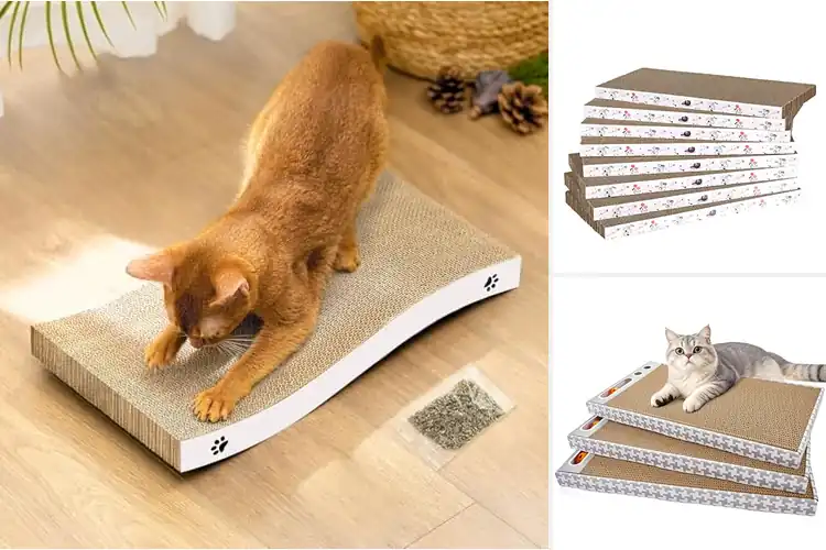 Detailed view of Best Durable Corrugated Cardboard Scratcher