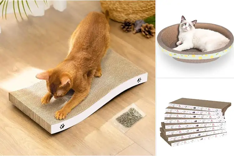 Detailed view of Best Durable Corrugated Cat Scratcher