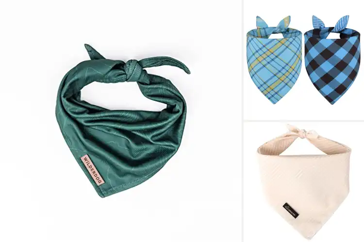 Detailed view of Best Durable Dog Bandanas