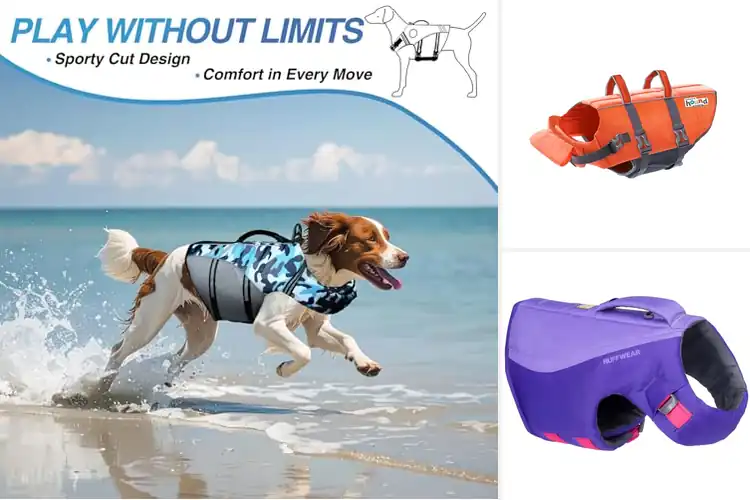 Detailed view of Best Durable Dog Life Jacket For Long-Lasting Use