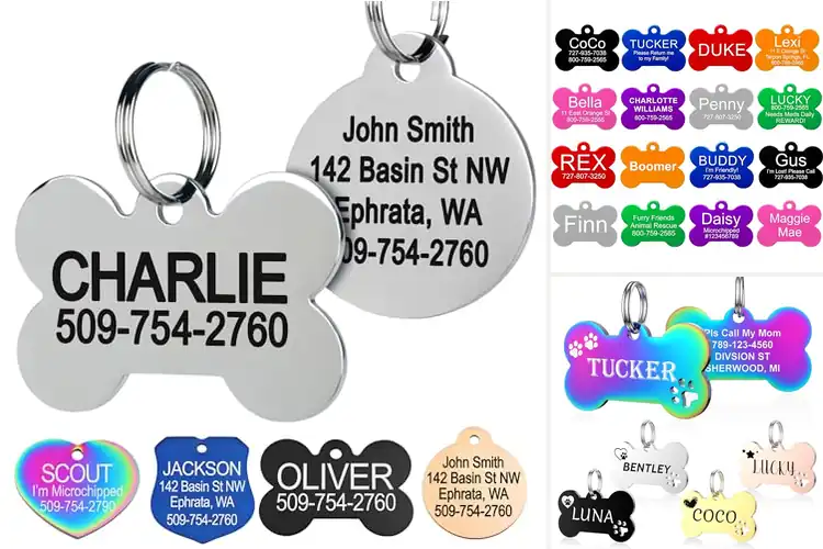 Detailed view of Best Durable Pet ID Tags