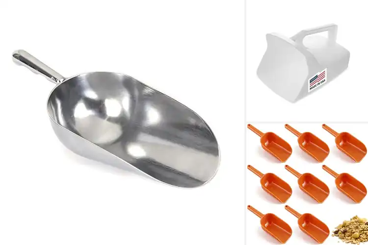 Detailed view of Best Durable Scoops