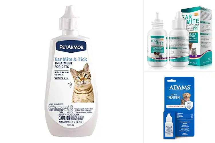 Detailed view of Best Ear Mite Treatment For Cats