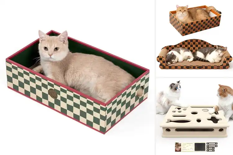 Detailed view of Best Easy Assembly Cat Scratcher Boxes