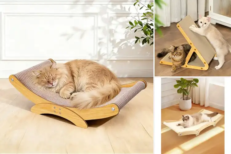 Detailed view of Best Easy Assembly Cat Scratcher