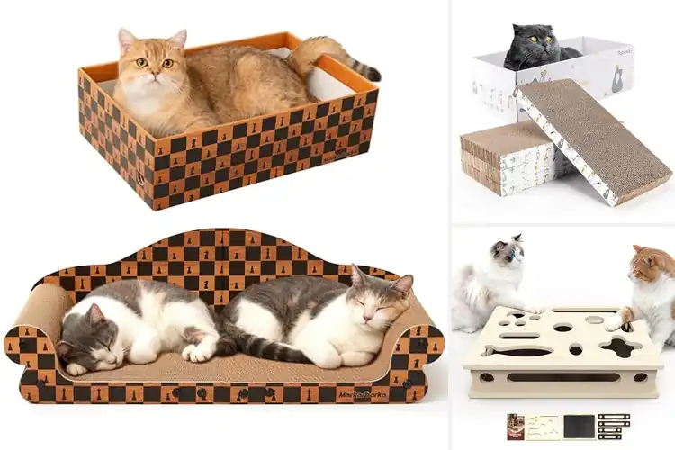 Detailed view of Best Easy Assembly Scratch Box