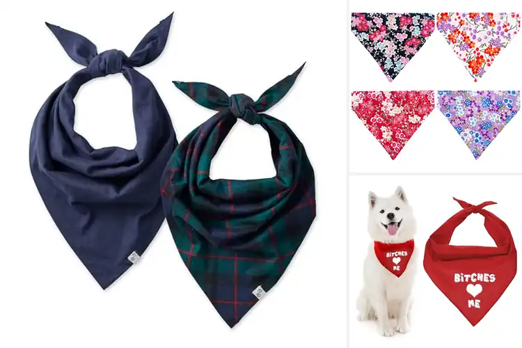 Detailed view of Best Easy On-Off Pet Bandana For Quick Dress-Up