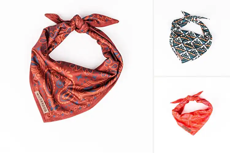 Detailed view of Best Easy Tie Dog Bandanas For Quick Onboarding