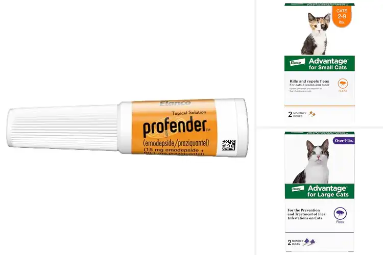 Detailed view of Best Easy To Apply Cat Topical: Top 10 Stress-Free Solutions