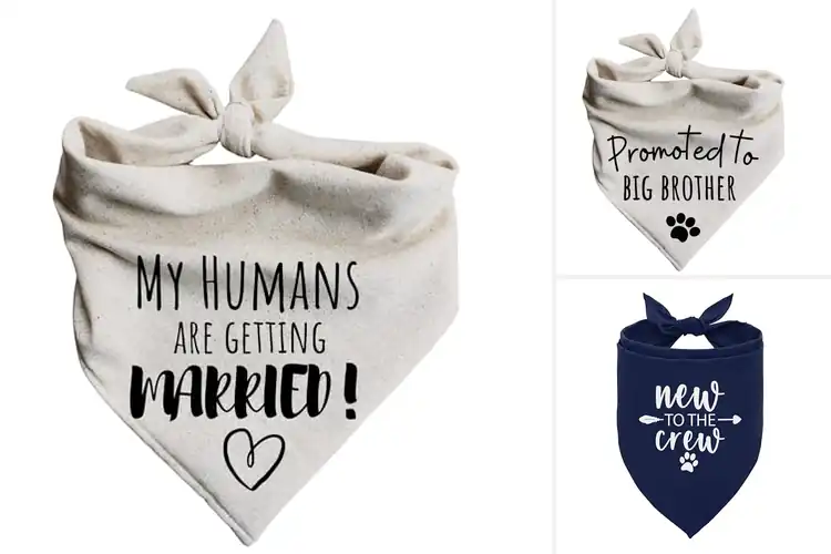 Detailed view of Best Easy To Put On Dog Bandana