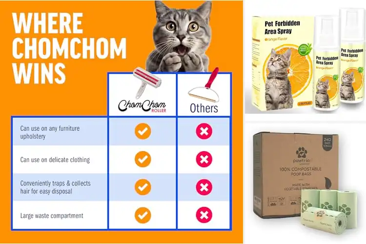 Detailed view of Best Eco-Friendly Cat Products
