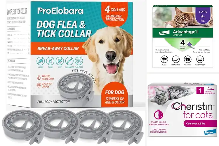 Detailed view of Best Effective Flea Treatments