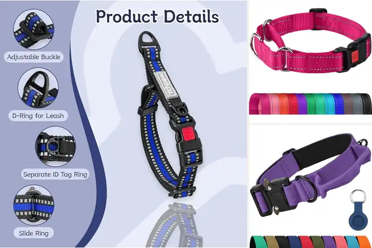 Detailed view of Best Emergency Release Collars: Keep Your Dog Safe & Visible