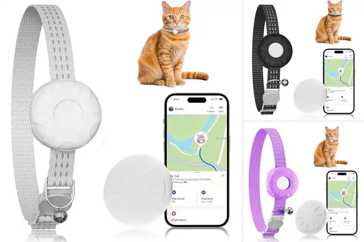 Detailed view of Best Encrypted Find My Cat Trackers