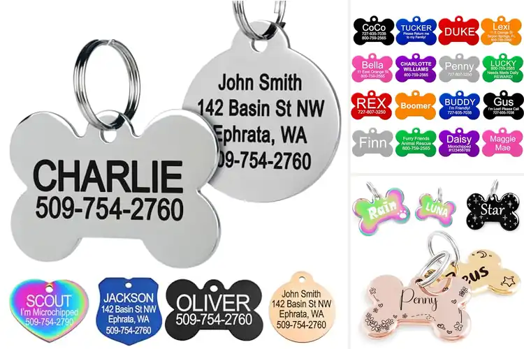 Detailed view of Best Engraved Dog Tags